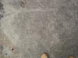 image of grave number 365996